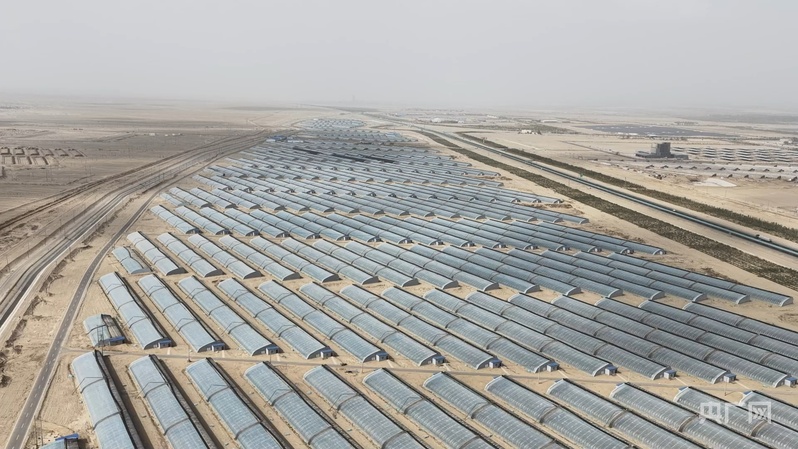 高质量发展“新”速度丨科技赋能 引领新疆农业的智慧跨越(图5)