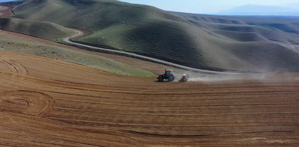 高质量发展“新”速度丨科技赋能 引领新疆农业的智慧跨越(图4)