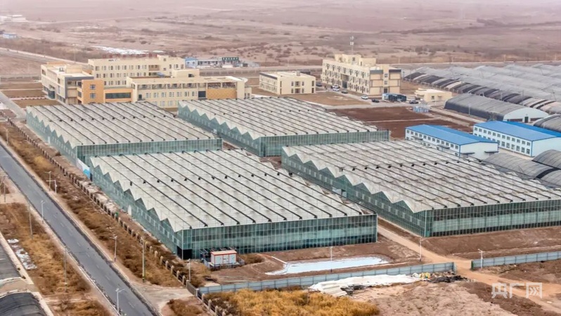 高质量发展“新”速度丨科技赋能 引领新疆农业的智慧跨越(图6)