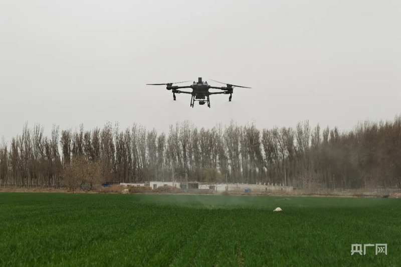 高质量发展“新”速度丨科技赋能 引领新疆农业的智慧跨越(图8)