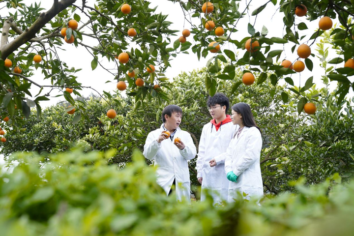 袁隆平的母校扎根西部培育“大先生”——西南大学兴教兴农文脉的传承与发展(图4)