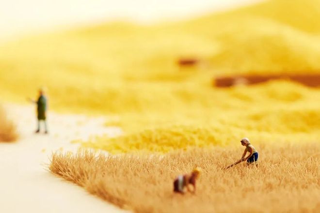 《食品科学》：哈尔滨商业大学张娜教授、王冰高级工程师等：谷物加工中风味解析技术及其释放机理的研究进展