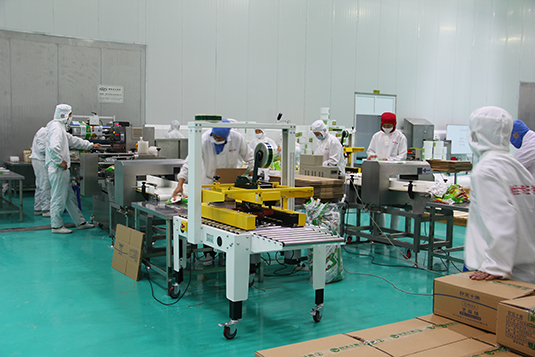 从焙烤展爆款到行业未来：膳印科技领跑食品喷花赛道全球百亿级市场风口已至