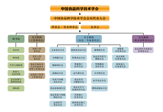 中国食品科学技术学会年报（2025年）